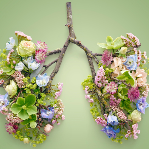 Breathwork
