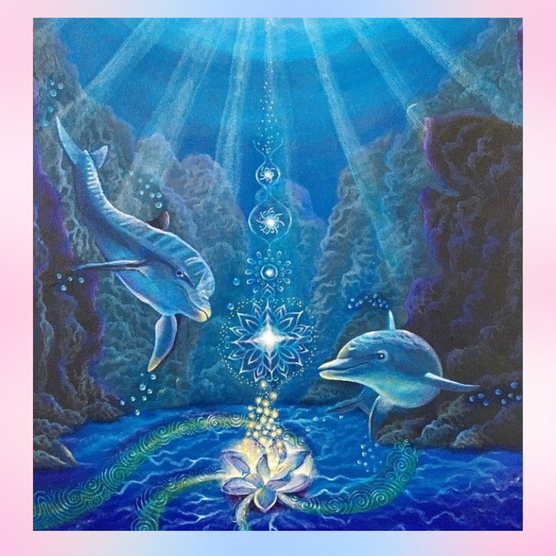 Sirius Galactic Dolphin Care